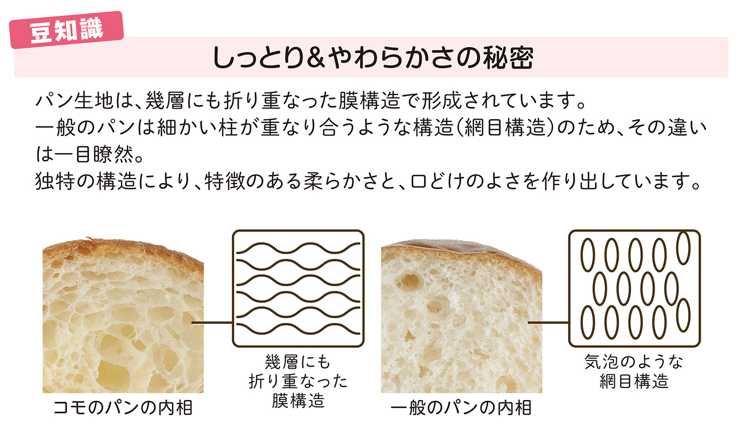 豆知識 しっとり＆やわらかさの秘密