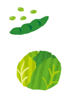 枝豆とキャベツ