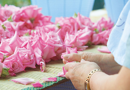 バラの選別・ばらし