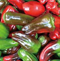 ピーマンの保存法