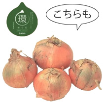 玉ねぎ（環）