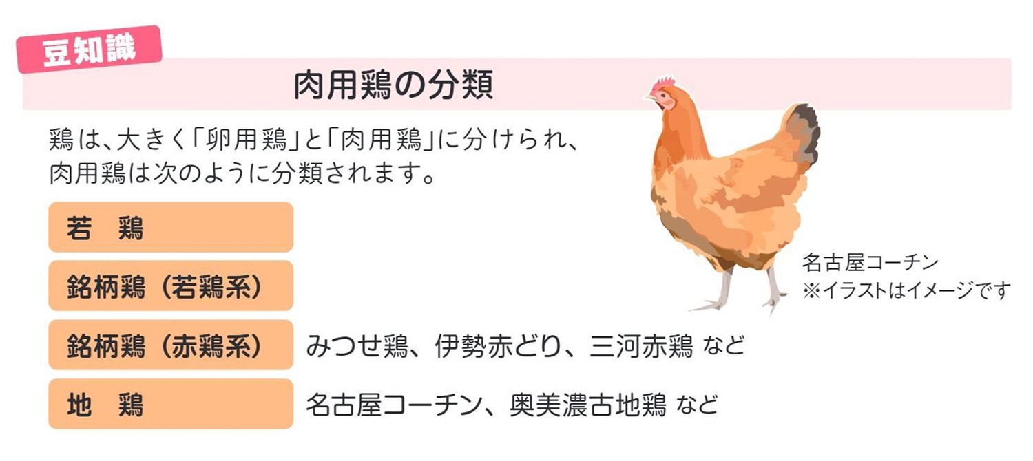 豆知識　肉用鶏の分類