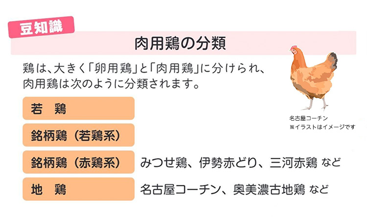 豆知識　肉用鶏の分類