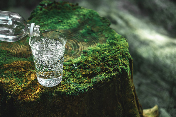 切り株の上でコップに炭酸水を注ぐ