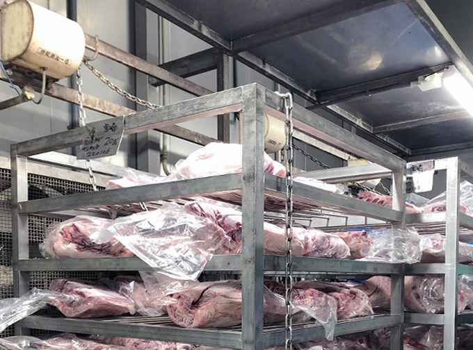 静電場解凍装置