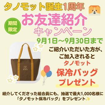 お友達紹介