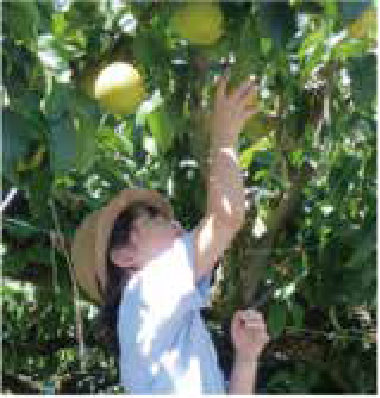 例年ウィズコープ3月号で募集